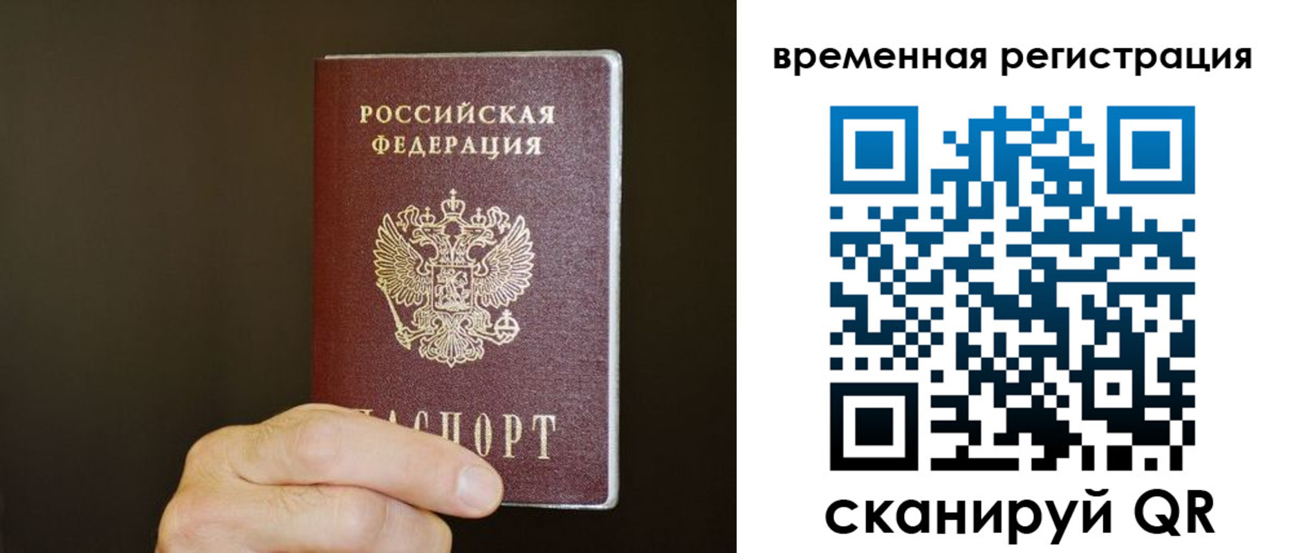 прописка гарантия в Тимашёвске